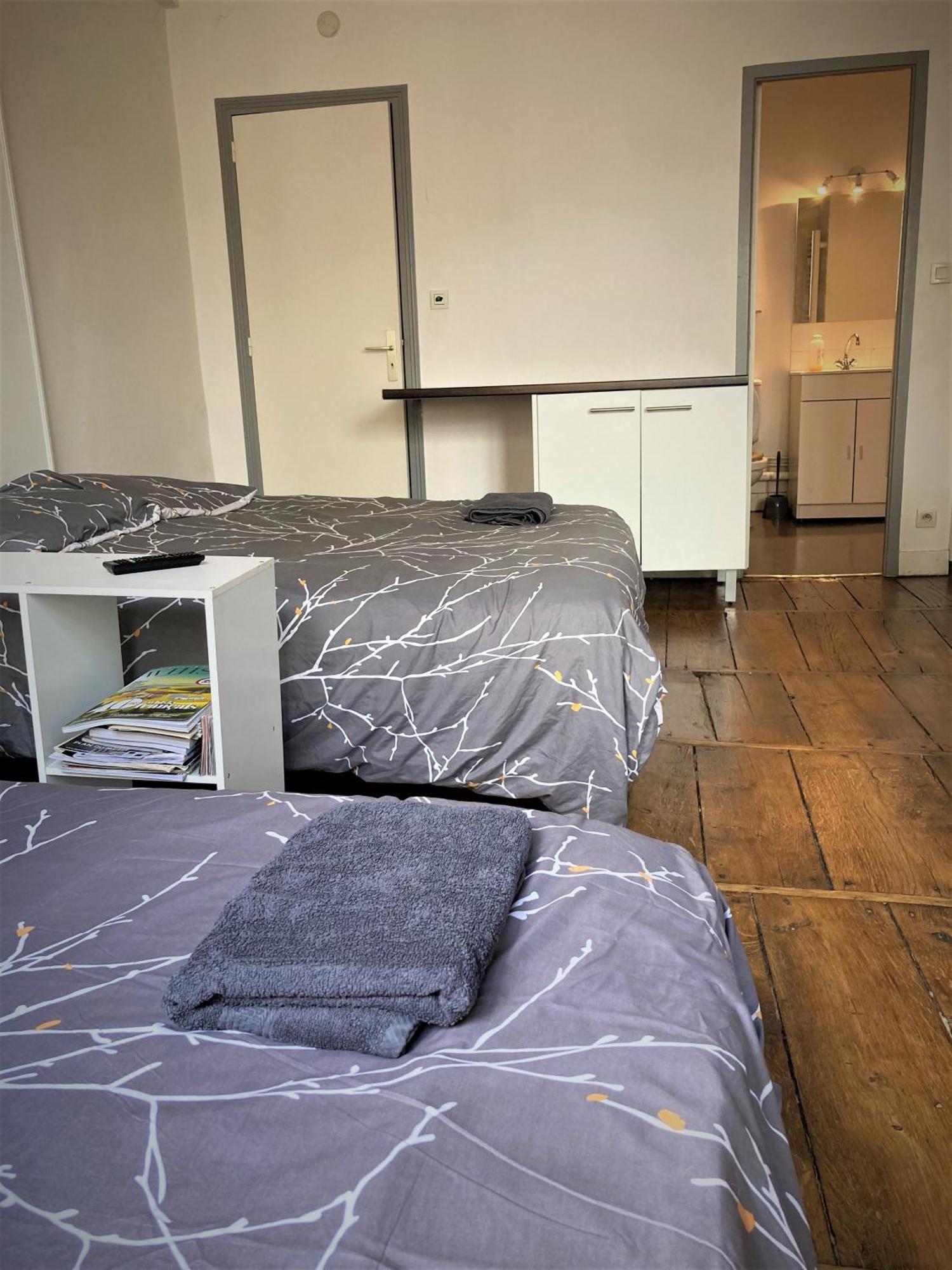 Studio Double 21 Centre De Limoges Wifi מראה חיצוני תמונה